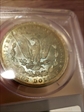 1884 $1 MS65