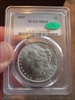 1883 $1 MS65