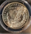 1921 $1 Morgan MS65
