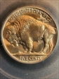 1938-D 5C Buffalo MS66