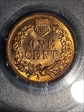 1909 1C Indian MS65RD