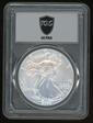 2024-(P) $1 Silver Eagle with Star Privy Struck at Philadelphia Ultra Breaks MS70