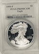 1995-P $1 Silver Eagle PR69DCAM