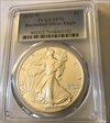2022-W $1 Burnished Silver Eagle SP70