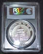 1994 10 Yn Panda Silver MS69