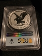 2021-W  $1 Silver Eagle - Type 2 Mint Designer Series Advanced R. Emily S. Damstra PR70DCAM
