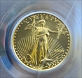 2006-W $5 Burnished Gold Eagle SP70