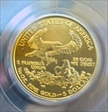 2006-W $5 Burnished Gold Eagle SP70