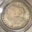 1896 $1 VAM 19, 8 in Denticle MS64