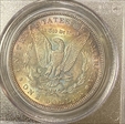 1896 $1 VAM 19, 8 in Denticle MS64
