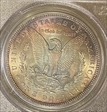 1896 $1 VAM 19, 8 in Denticle MS64