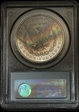 1881-S $1 MS65