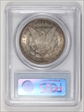 1896 $1 MS65
