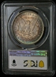1889 $1 MS64