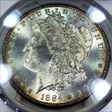 1884 $1 MS64