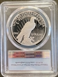 2023-S $1 Peace Dollar First Strike PR70DCAM