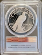 2023-S $1 Peace Dollar First Strike PR69DCAM