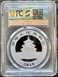 2019 10 Yn Panda Silver First Strike MS70