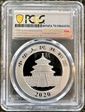 2020(Y) 10 Yn Panda Silver Struck at Shenyang Mint MS70
