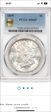 1899 $1 MS65