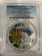 2011-P $1 Greater Blue Mountains Tree Frog Colorized PR69DCAM