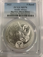 2022 5 Rand Big Five- Black Rhino MS70