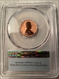 2019-W 1C Shield - Reverse Proof First Strike PR70RD