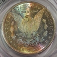 1884-CC $1 MS61
