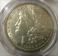 1884 $1 N1