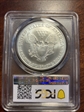 2002 $1 Silver Eagle MS70
