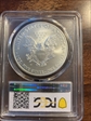 2008-W $1 Burnished Silver Eagle SP70