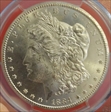 1884-CC $1 MS65