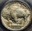 1938-D/D 5C Buffalo MS66