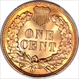 1909 1C Indian MS64RD