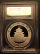 2013 10 Yn Panda Silver First Strike MS69