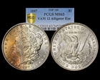 1887 $1 VAM 12, Alligator Eye MS63