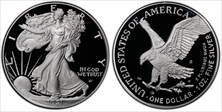 2021-S $1 Silver Eagle - Type 2 First Strike PR70DCAM