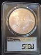 2009 $1 Silver Eagle MS69