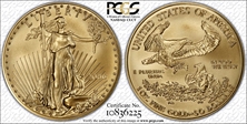 2006-W $50 Burnished Gold Eagle 20th Anniversary First Strike SP69