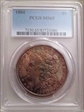 1884 $1 MS65