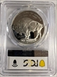 2001-P $1 Buffalo PR70DCAM
