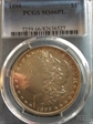 1899 $1 MS66PL