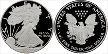 2007-W $1 Silver Eagle PR70DCAM