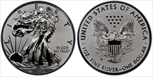 2019-W $1 Silver Eagle Enhanced Rev PR Pride of Two Nations, U.S. Set First Strike PR70