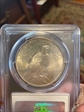 1923 $1 MS64