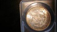 1883-CC $1 MS65