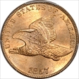 1857 1C Flying Eagle MS66
