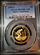 2009-S $1 Native American PR70DCAM