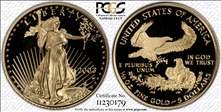 2003-W $5 Gold Eagle PR69DCAM