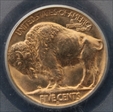 1938-D 5C Buffalo MS66